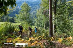 2022-08-20 - ART_5145